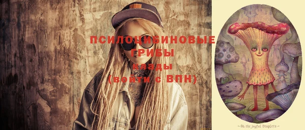 круглые Абаза