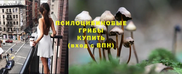 каннабис Алзамай