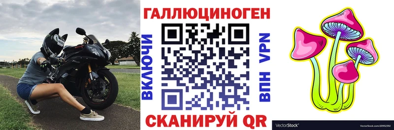 где купить Клинцы Галлюциногенные грибы прущие грибы
