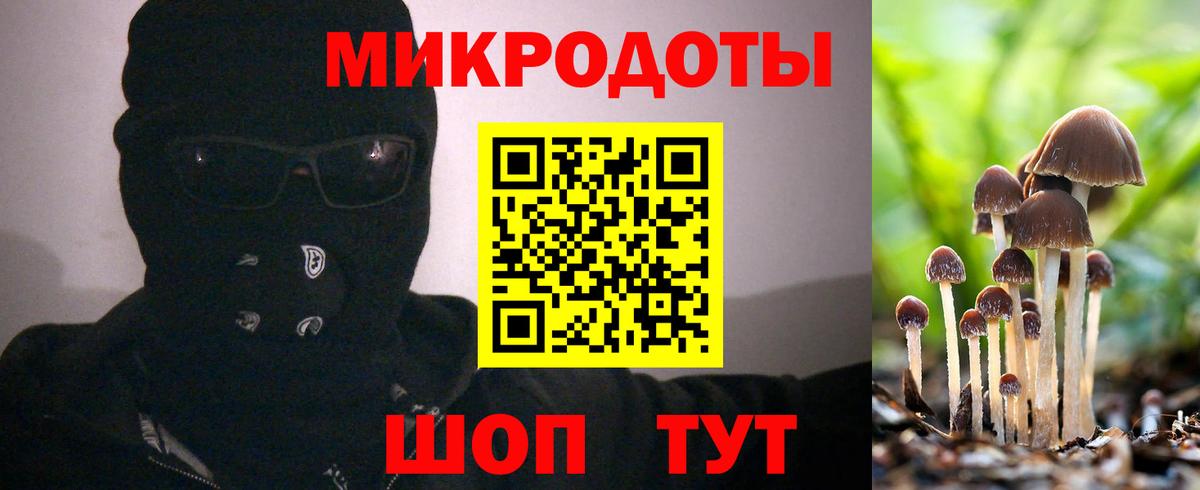 Псилоцибиновые грибы GOLDEN TEACHER Клинцы