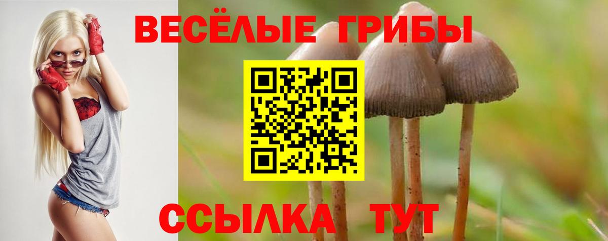 Клинцы  Галлюциногенные грибы MAGIC MUSHROOMS  Вход с VPN 