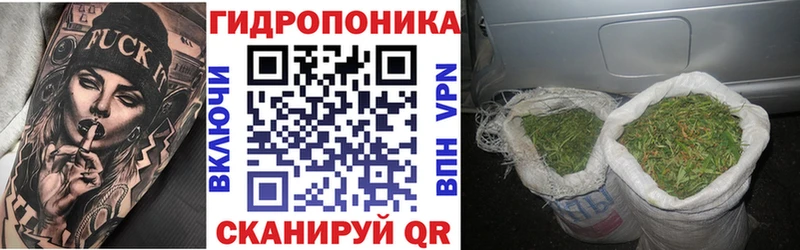 shop формула Клинцы Канабис Amnesia